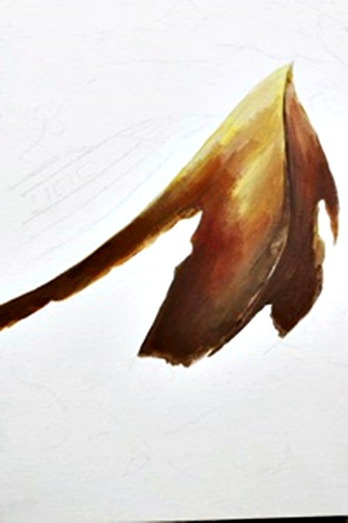 เพ้นท์เฟรม_สีอะครีลิค_p3