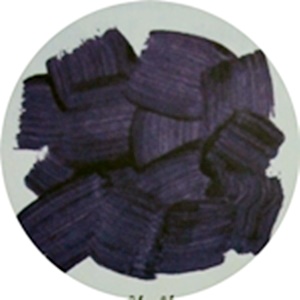 รอยแปรงสีอะครีลิค_1