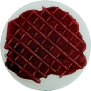 รอยแปรงสีอะครีลิค_2